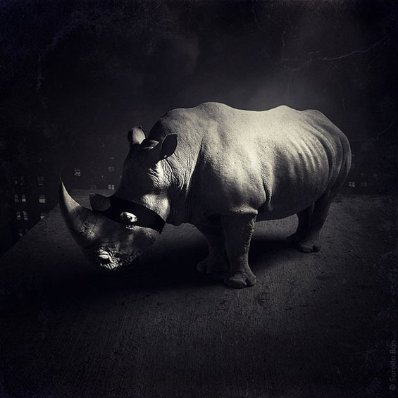 Неверојатни фото манипулации