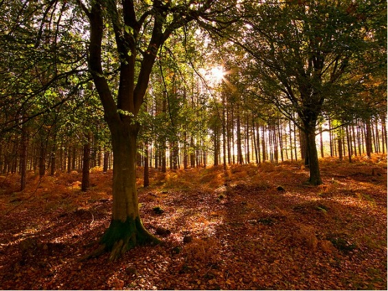10 најубави есенски дестинации низ светот