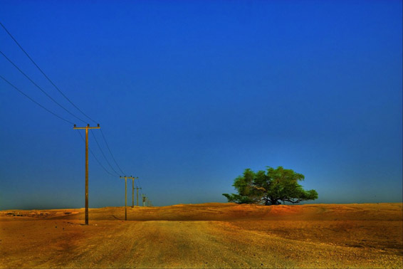 Дрвото на животот во Бахреин