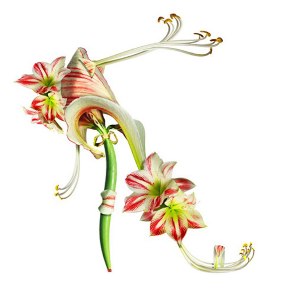 (6) Женски чевли направени од цвеќиња Женски чевли направени од цвеќиња