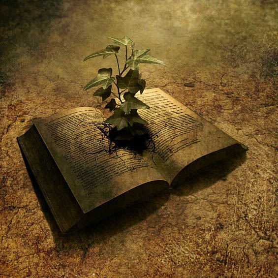 Неверојатни фото манипулации