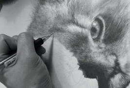 Мили мачиња нацртани со молив