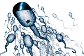 Најдобрите рекламни постери за презервативи