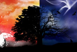 Неверојатни приказни за луѓе кои ја избегнале смртта