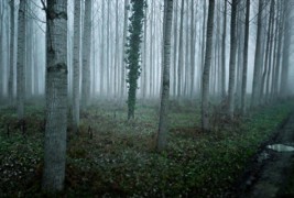 Прекрасени фотографии направени од камерите на „Google's Street View“