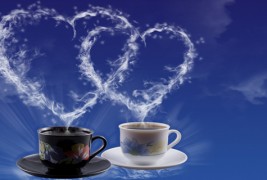 Кафе-позадина за вашиот десктоп #57