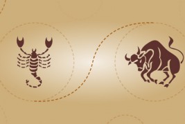 Скорпија и бик – пријателска комбинација