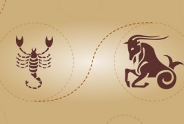 Скорпија и јарец - пријателска комбинација