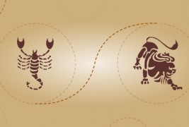 Скорпија и лав – пријателска комбинација