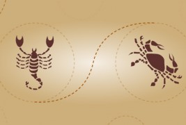 Скорпија и рак – пријателска комбинција