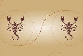 Скорпија и скорпија – пријателска комбинација