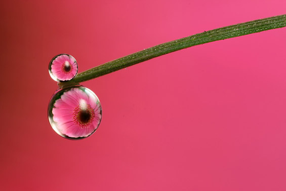 Магична рефлексија во ситни капки вода