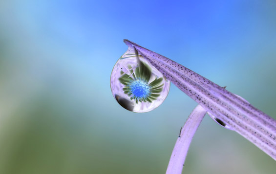 Магична рефлексија во ситни капки вода