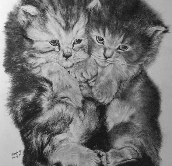 Мили мачиња нацртани со молив