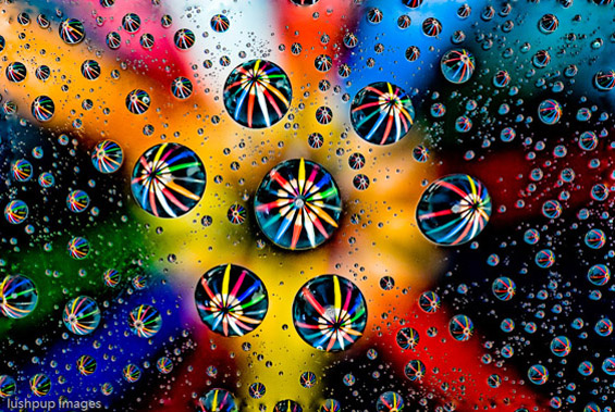 Магична рефлексија во ситни капки вода