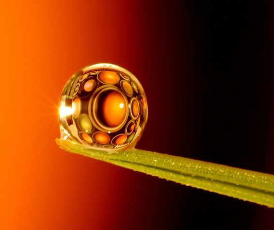 Магична рефлексија во ситни капки вода