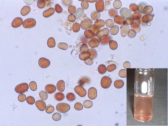 7 неверојатни природни феномени