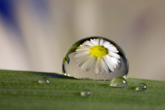 Магична рефлексија во ситни капки вода
