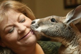 23 неверојатни фотографии на животни сликани во 2011 година