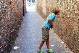 Бизарно сокаче во Калифорнија облепено со изџвакани мастики