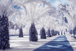 Егзотични места прекриени со снег