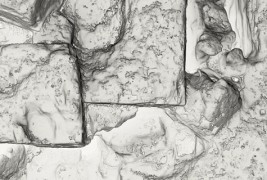 Како изгледа храната погледната под микроскоп?