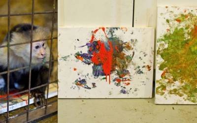 Мајмун слика уметнички дела кои вредат 400 долари