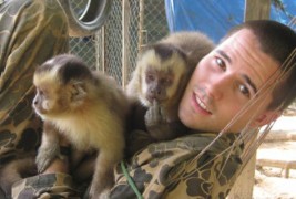 Работливо мајмунче мие садови