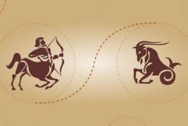 Стрелец и јарец – пријателска комбинација