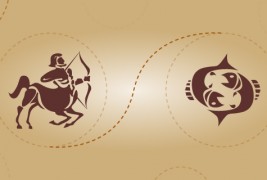 Стрелец и риби - пријателска комбинација