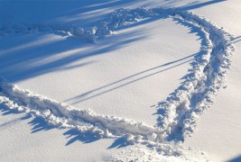 Трагите во снегот