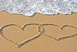 Зрнца на љубовта