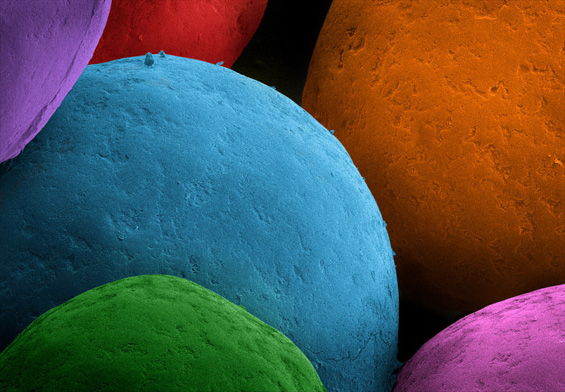 Како изгледа храната погледната под микроскоп?