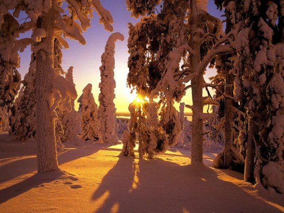 Зимските пејсажи на Финска