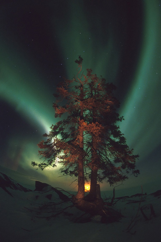 Волшебната поларна светлина на небото