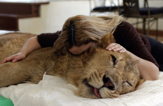23 неверојатни фотографии со животни сликани во 2011 година