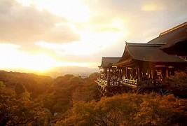 Една недела во Јапонија