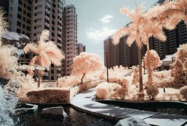 Хонг Конг во розова варијанта