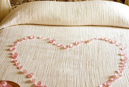 Кое е најдоброто време за секс, коктел, дремка, учење?...