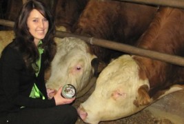 Најчудните производи за 2011 година