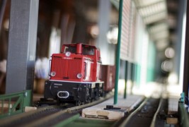 Чешки бар во кој наместо келнери ве служат вовчиња