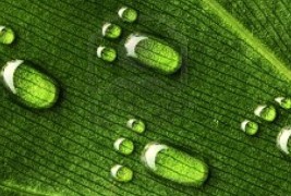 Еднодневна детоксикација во три чекори