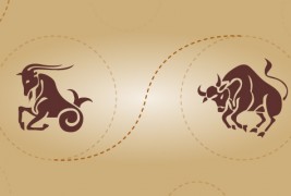 Јарец и бик – пријателска комбинација