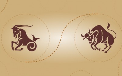 Јарец и бик – пријателска комбинација