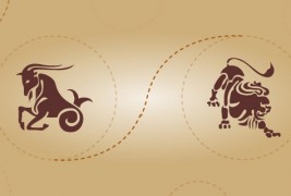 Јарец и лав - пријателска комбинација