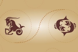 Јарец и риби – пријателска комбинација