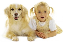 Кучињата и 2-годишните деца подеднакво разбираат