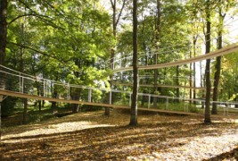 Лебдечка шумска патека