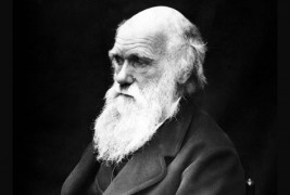 Пронајдени "изгубените" фосили на Чарлс Дарвин