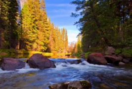 Убавината на Јосемити собрана во едно прекрасно видео